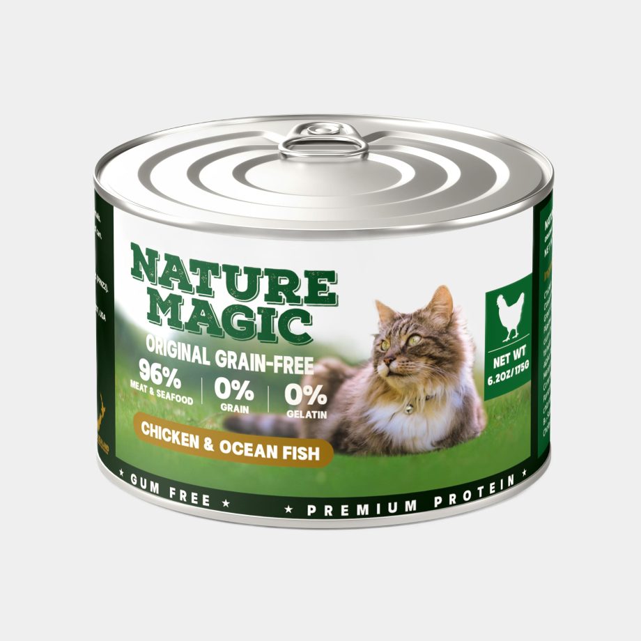 Makanan Kucing