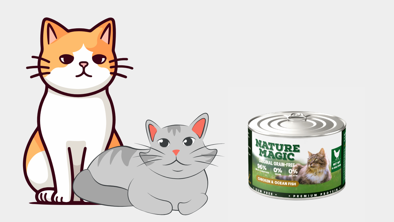 makanan kucing sesauai umur